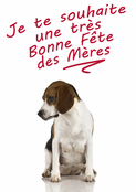 Un adorable toutou pour maman ch&eacute;rie